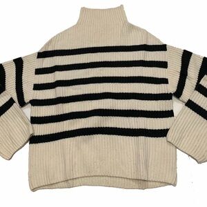 Everlane Black and Cream Striped Turtleneck Sweater